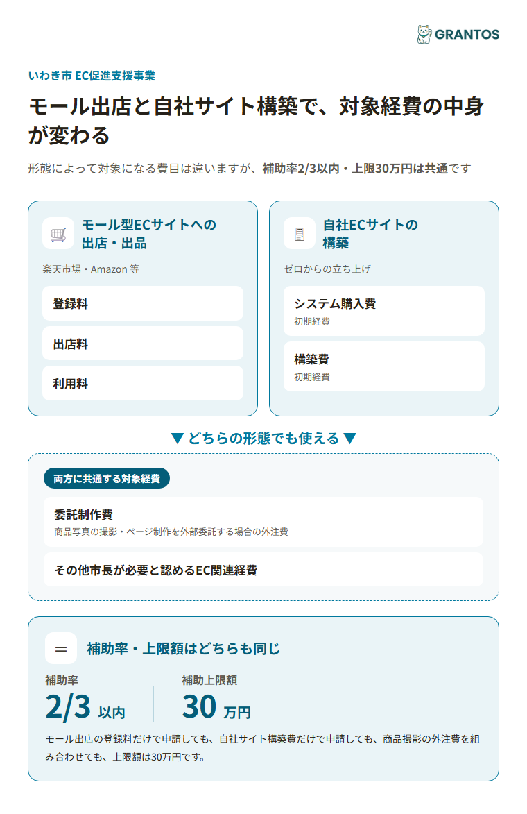 モール出店と自社サイト構築の対象経費比較